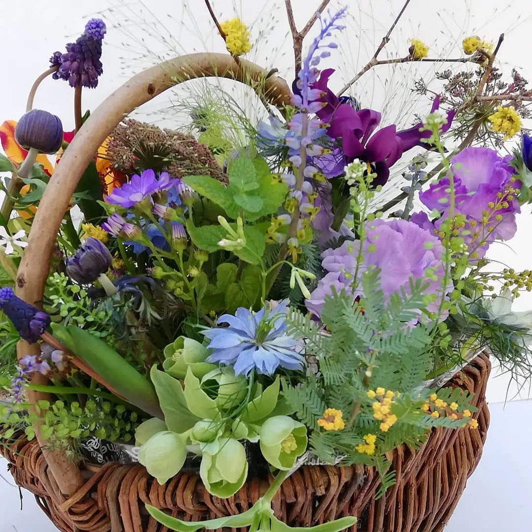 アレンジメント21