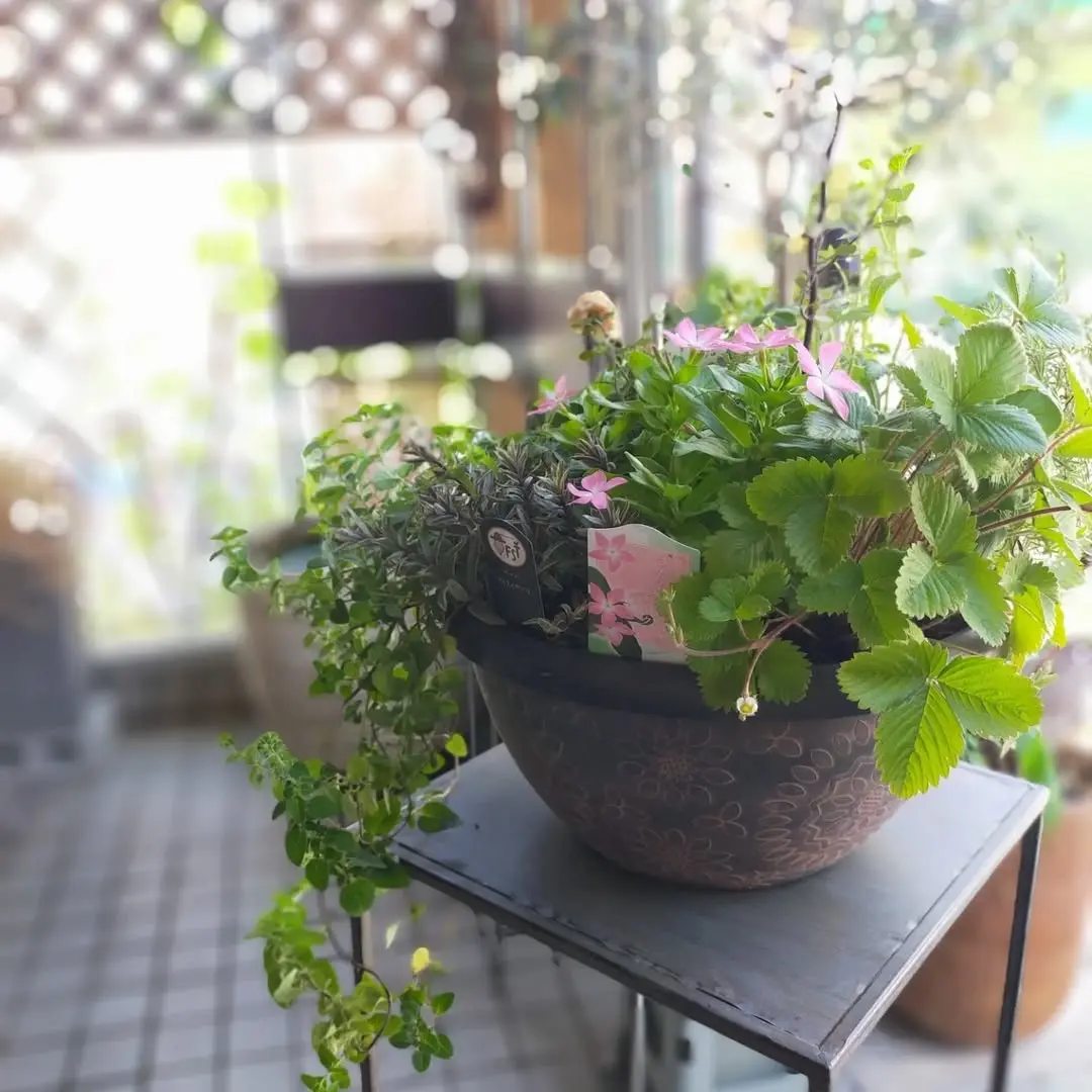 アレンジメント20