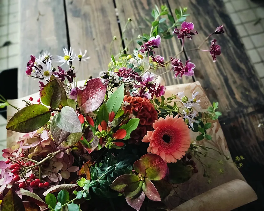 ピンクガーベラ写真