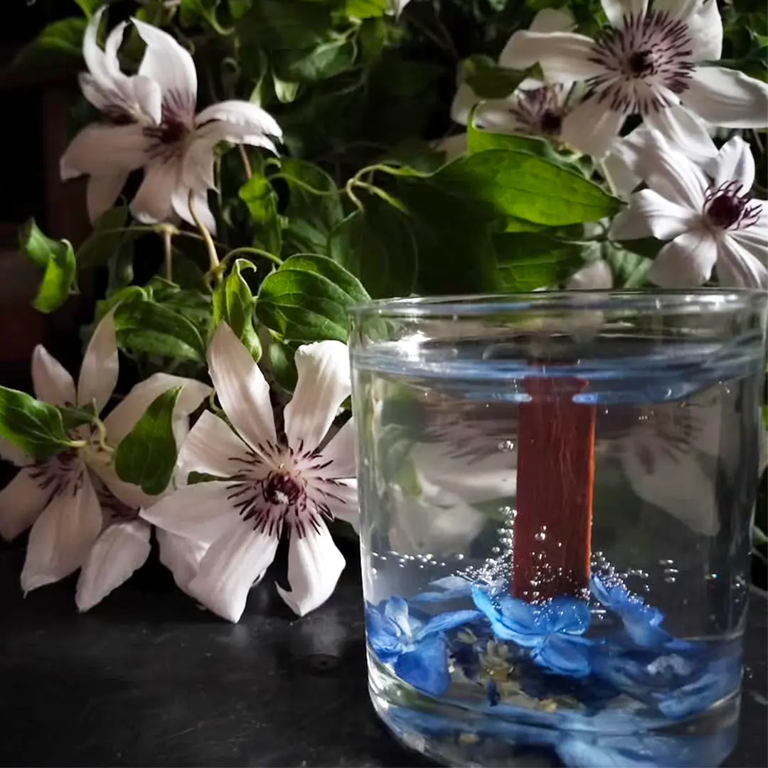 ジェルキャンドルワークショップ